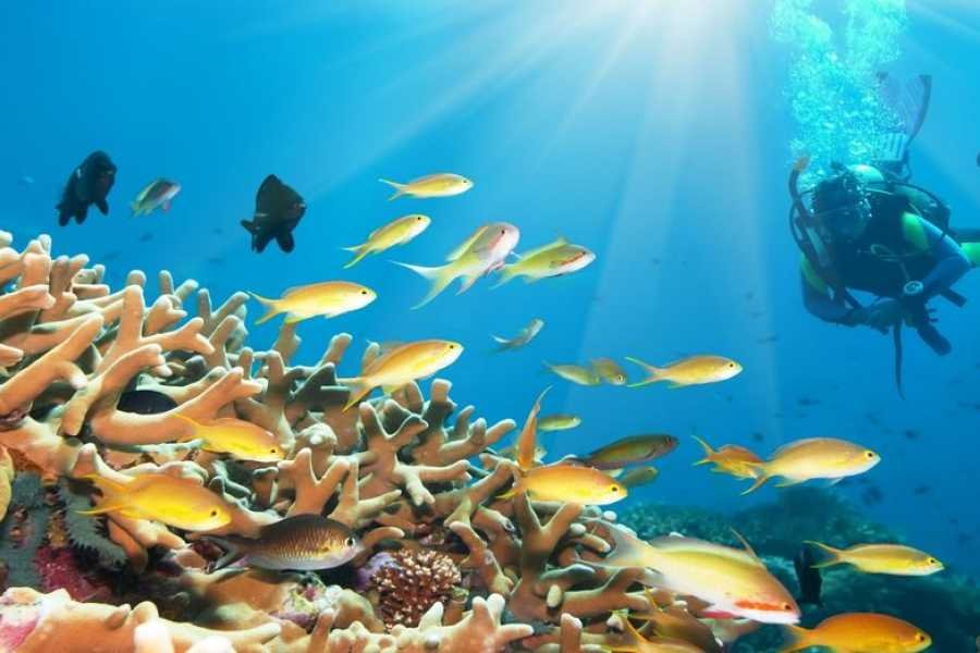 900x600 1 50 8cbec78ffc09a40f75cc6eeea92e659e