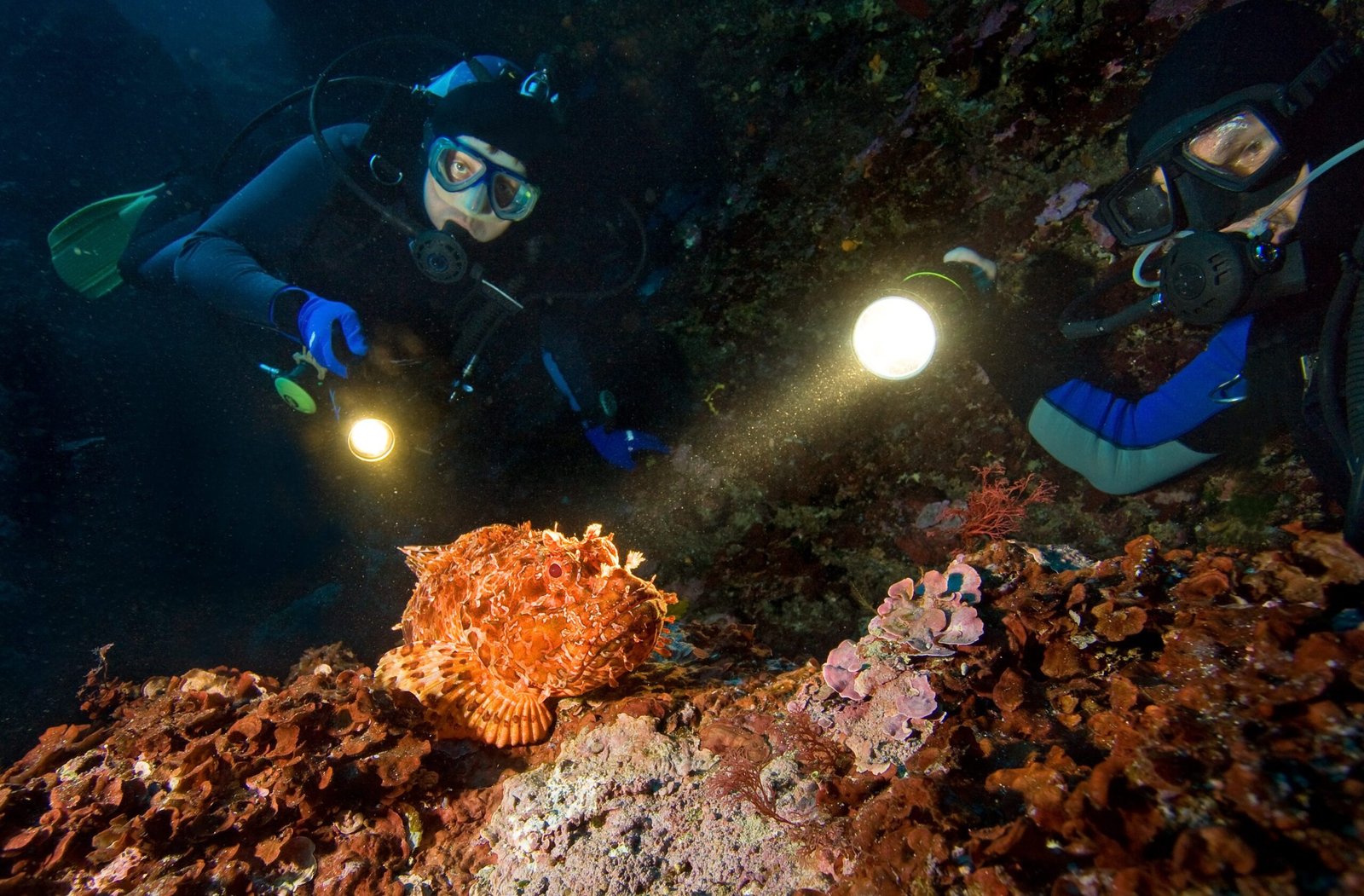 PADI Night Diver Kurs (Nachttauchen)