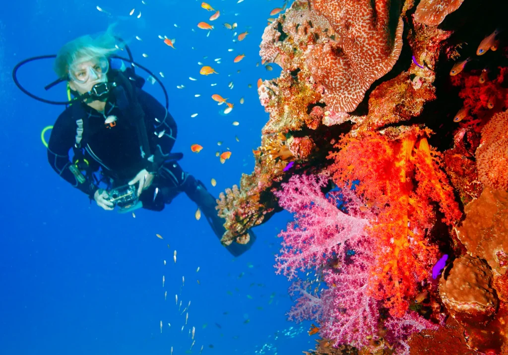 scuba diver