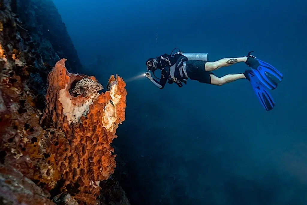 PADI Night Diver Kurs (Nachttauchen)