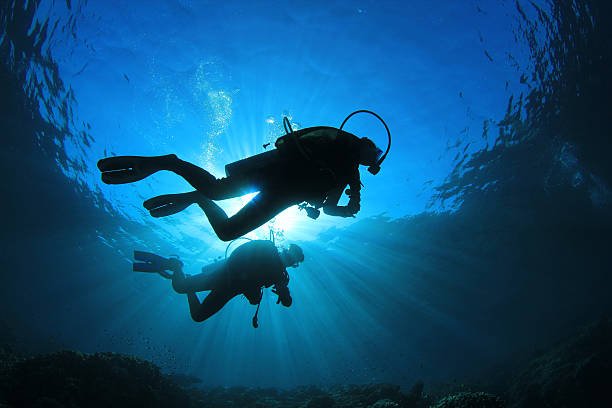 two scuba divers silhouetted against the sun while they explore a coral reef